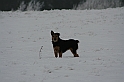 Bieszczady 12.2007 029